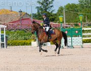 DI PALO BOLERO CampITA2013- S5 0755 : BOLERO VAN'T STENENPOORT, Campionati Italiani 2013, Cattolica, DI PALO ANIELLO, Horse Riviera Resort, foto di Stefano Secchi ©